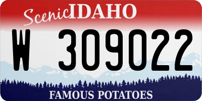 ID license plate W309022
