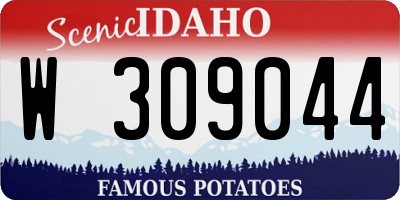 ID license plate W309044