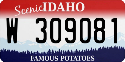 ID license plate W309081