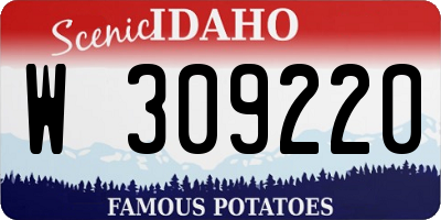 ID license plate W309220
