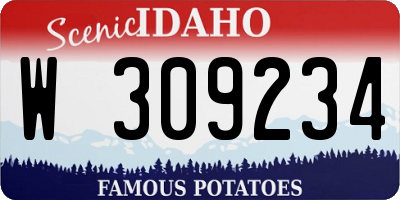 ID license plate W309234