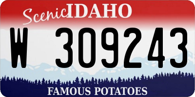 ID license plate W309243