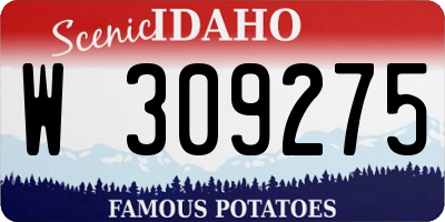 ID license plate W309275