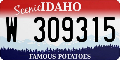 ID license plate W309315