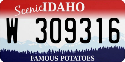 ID license plate W309316