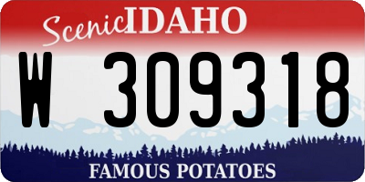 ID license plate W309318