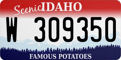 ID license plate W309350