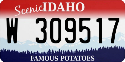 ID license plate W309517
