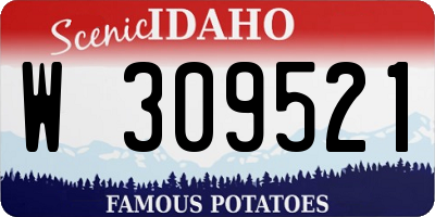 ID license plate W309521