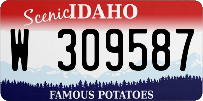 ID license plate W309587