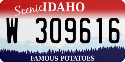 ID license plate W309616