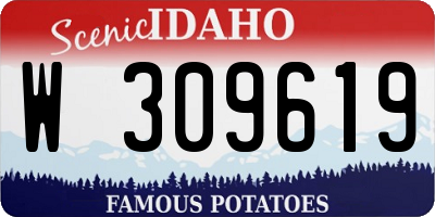 ID license plate W309619