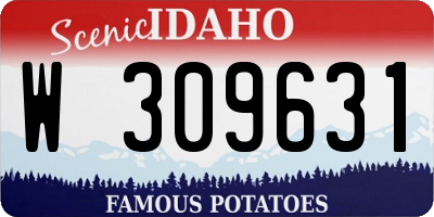 ID license plate W309631