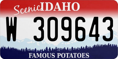 ID license plate W309643