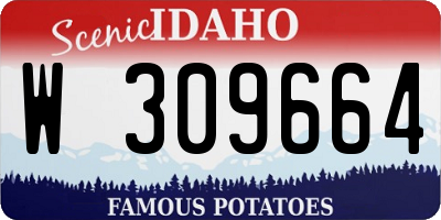 ID license plate W309664