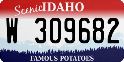 ID license plate W309682