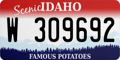 ID license plate W309692