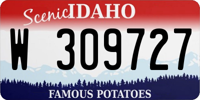 ID license plate W309727