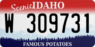 ID license plate W309731
