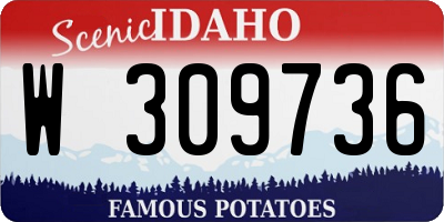 ID license plate W309736