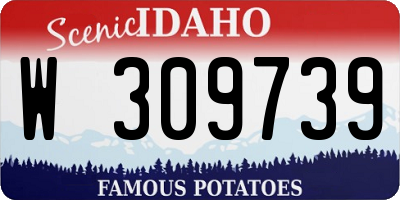 ID license plate W309739