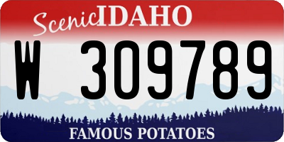 ID license plate W309789