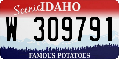 ID license plate W309791