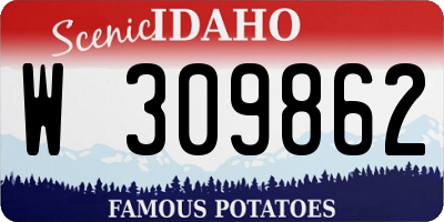 ID license plate W309862