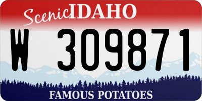 ID license plate W309871