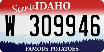 ID license plate W309946