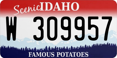 ID license plate W309957