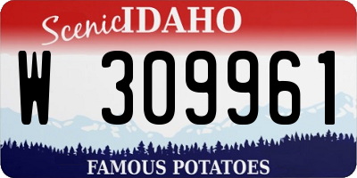 ID license plate W309961