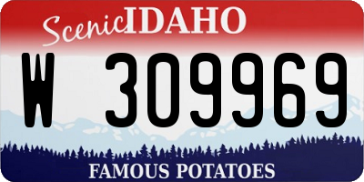 ID license plate W309969