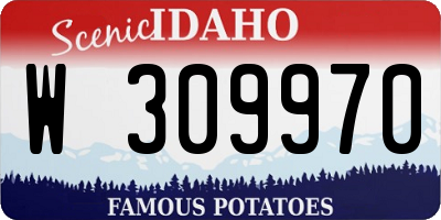 ID license plate W309970