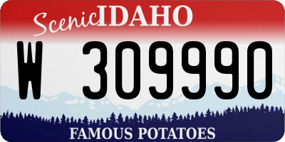 ID license plate W309990