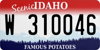 ID license plate W310046