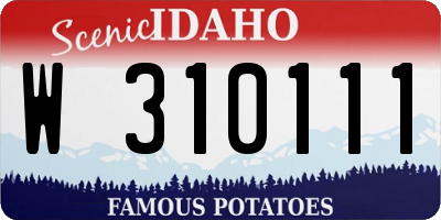 ID license plate W310111