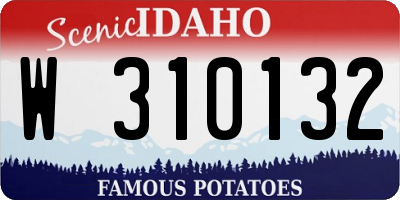 ID license plate W310132