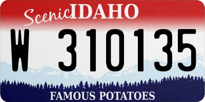 ID license plate W310135
