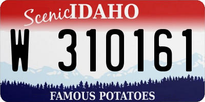 ID license plate W310161