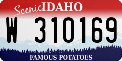 ID license plate W310169