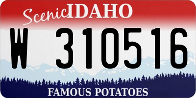 ID license plate W310516