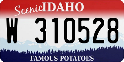 ID license plate W310528