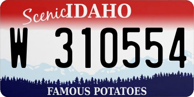 ID license plate W310554