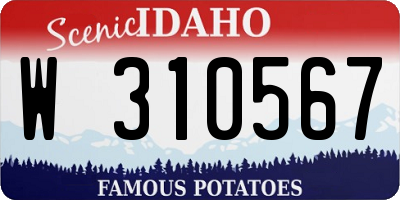 ID license plate W310567