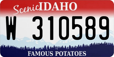 ID license plate W310589
