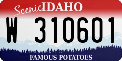ID license plate W310601