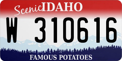 ID license plate W310616