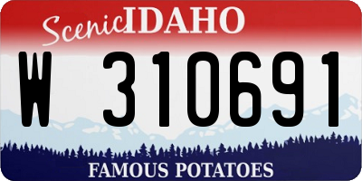 ID license plate W310691