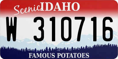 ID license plate W310716